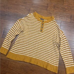 American Eagle Outfitters Mustard and White Button Sweater